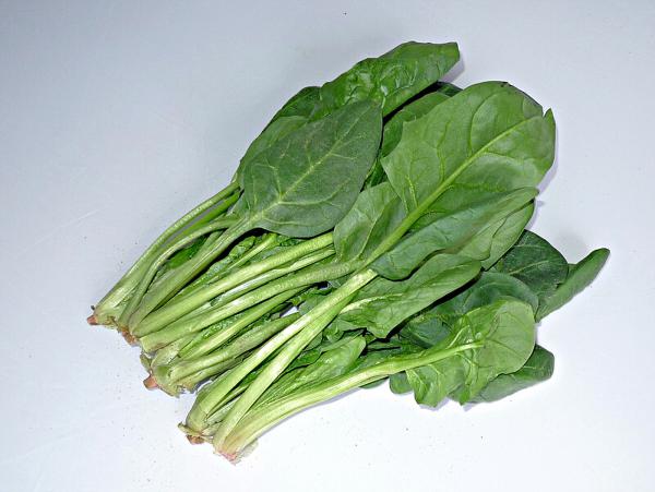 秋季養(yǎng)生蔬菜有哪些 中秋節(jié)前后吃了有益身心