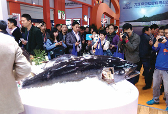 農(nóng)交會(huì)走了，漁博會(huì)來(lái)了