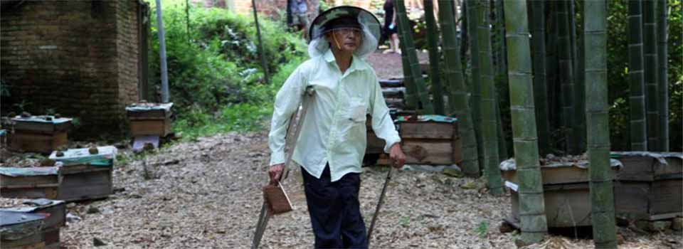 湖南六旬殘疾人深山孤身養(yǎng)蜂50載 年產(chǎn)土蜂蜜600多斤 湖南六旬殘疾人深山孤身養(yǎng)蜂50載 年產(chǎn)土蜂蜜600多斤