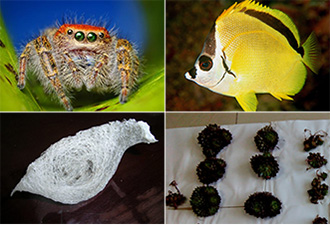 海淘族注意：這些物品禁通關(guān)！