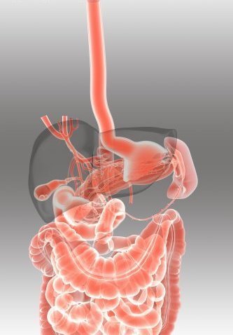 中秋節(jié)飲食禁忌：六類人警惕千萬不要吃月餅