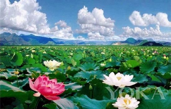 去云南請忘掉麗江大理，這才是世外桃源！(3)