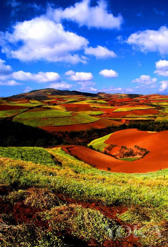 點擊圖片進入第一頁