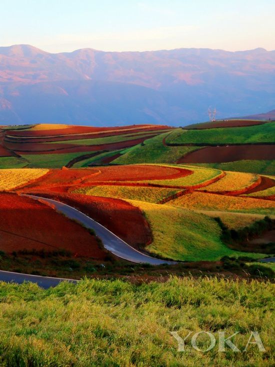 點擊圖片進入第一頁