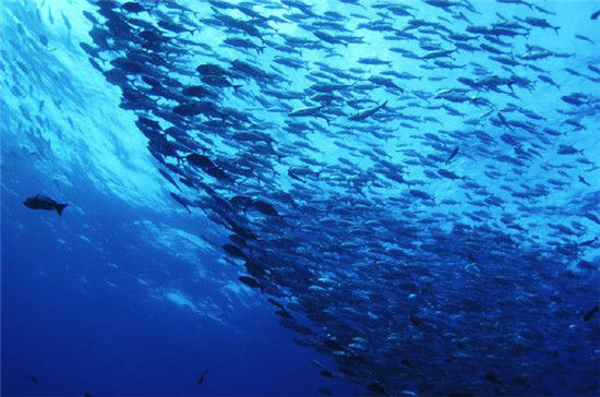 2014全球十大免簽海島游 暢游最昂貴的旅游海島