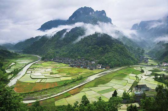 張家界魔幻奇景：重返《阿凡達(dá)》的搖籃