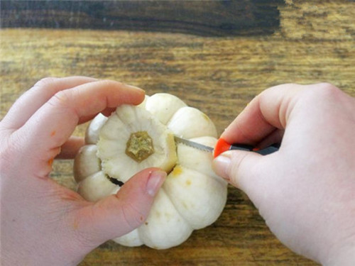 創(chuàng)意多肉盆栽制作