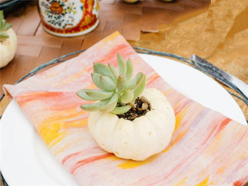 創(chuàng)意多肉植物盆栽