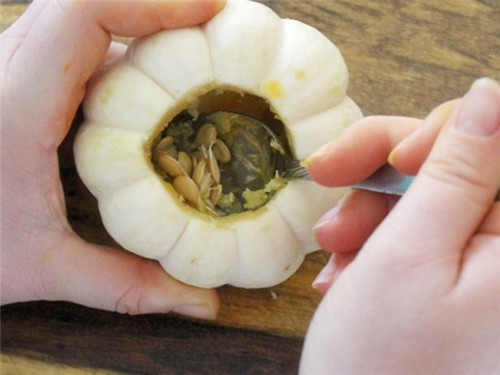 創(chuàng)意多肉盆栽制作