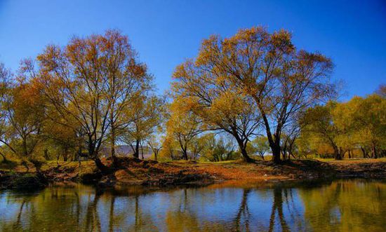 十一不想人擠人 去冷門線路“占便宜”吧！