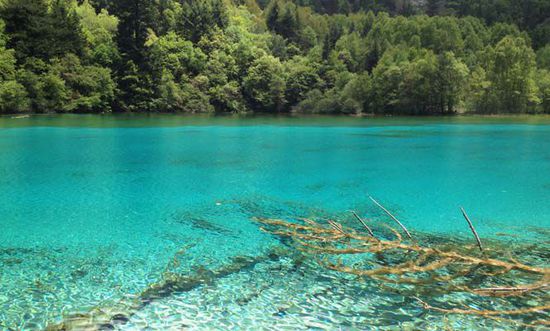 十一不想人擠人 去冷門線路“占便宜”吧！