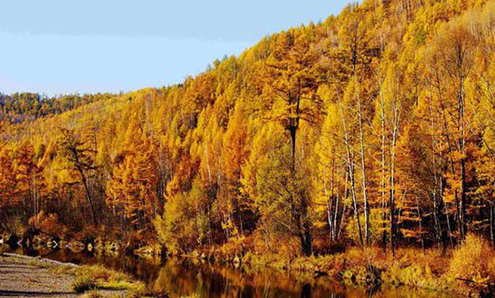 十一不想人擠人 去冷門線路“占便宜”吧！