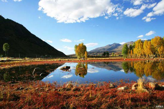 十一不想人擠人 去冷門線路“占便宜”吧！