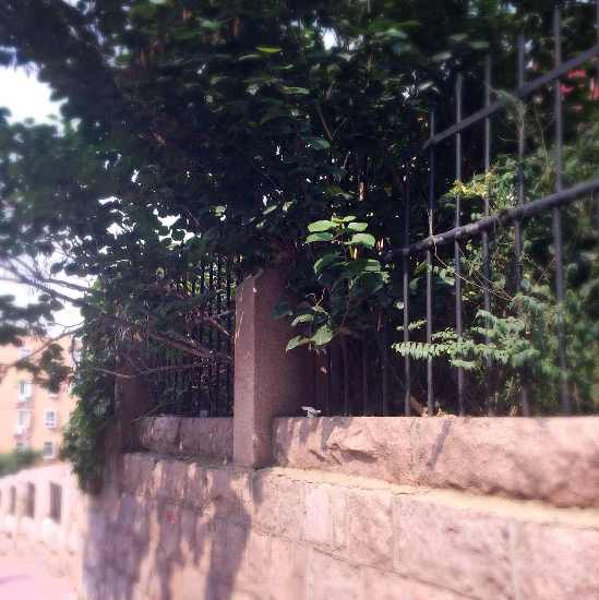 牙牙：有時候，開車真不如步行