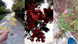 璠小棧：短途出行，我選步行