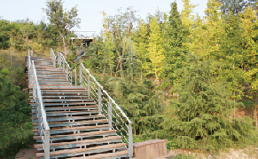 青島世園會(huì) 山地園 銀杏 秋色