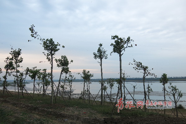 整治后的大沽河