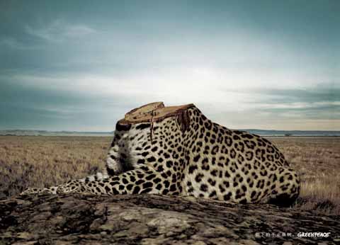 公益廣告 綠色 環(huán)保 保護(hù)動(dòng)物 生態(tài) 低碳 自然 保護(hù)自然