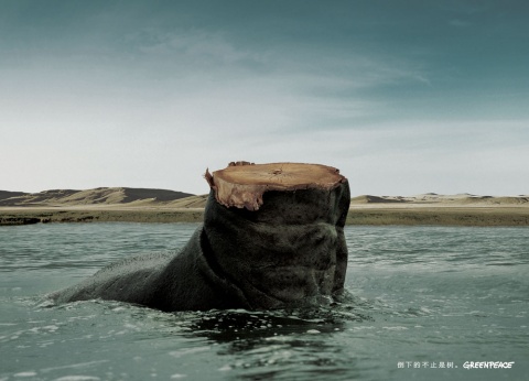 公益廣告 綠色 環(huán)保 保護(hù)動(dòng)物 生態(tài) 低碳 自然 保護(hù)自然