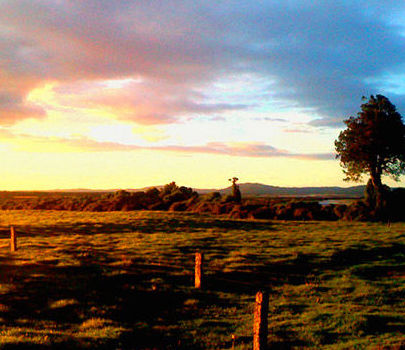 15條建議讓您的新西蘭旅行更出彩