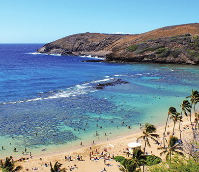 迷失在夏威夷的心臟 歐胡島