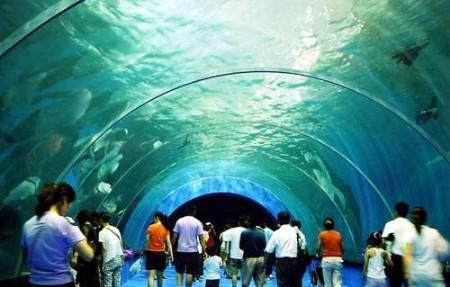 黃金周游青島 不容錯過的秋色美景