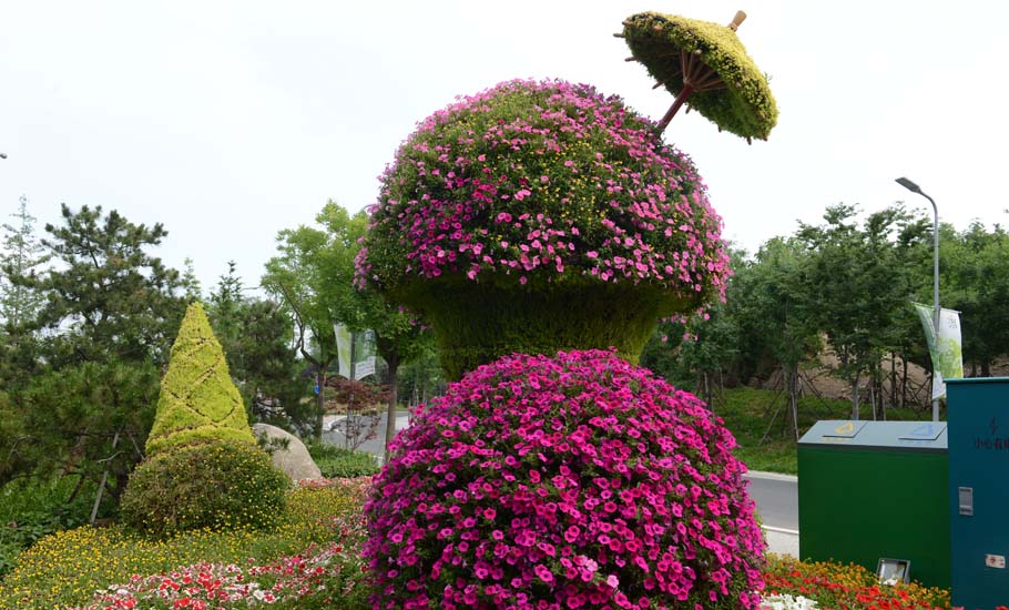 生活走進(jìn)自然