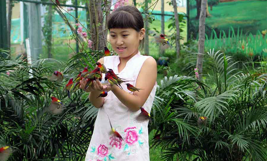 喜歡吃蜂蜜的太陽鳥毛色艷麗、身形輕巧。