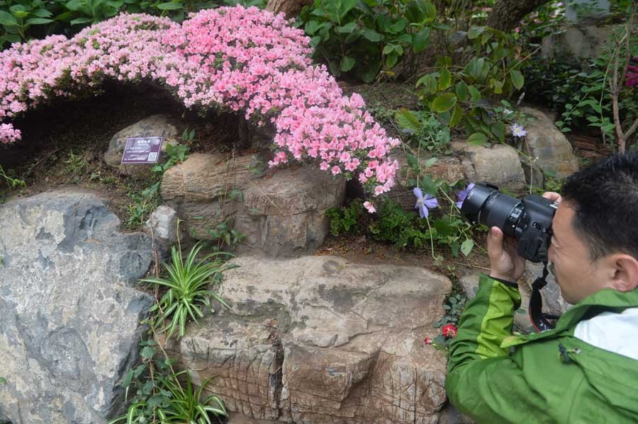 植物館中一位游客在拍攝