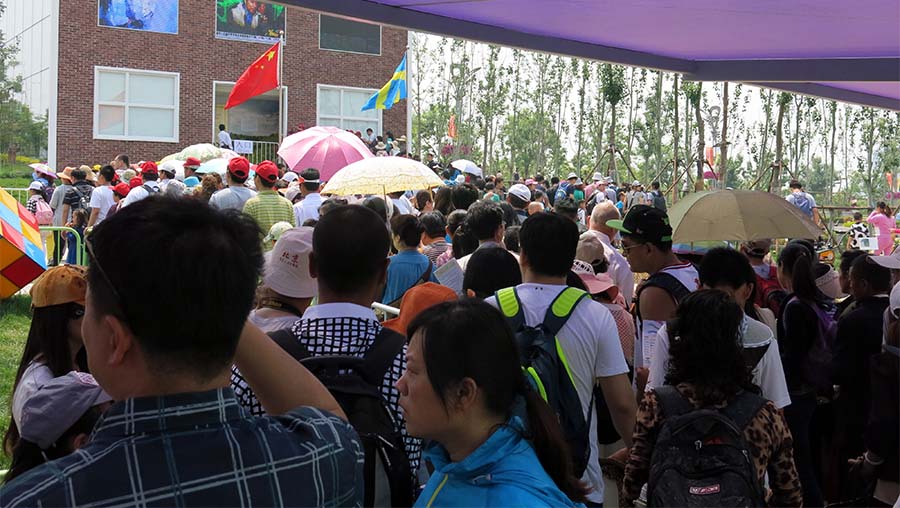 人氣爆棚的瑞典館