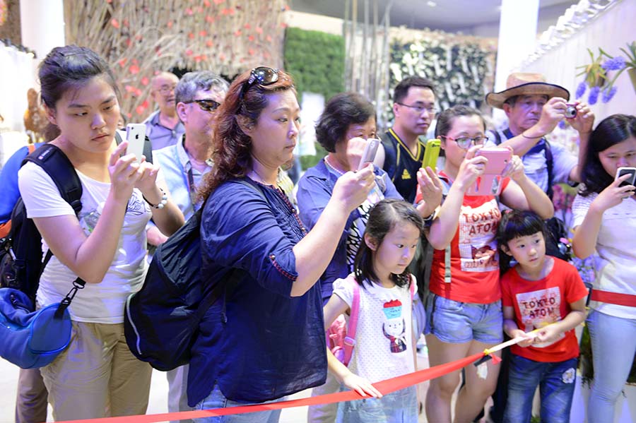 游客們在拍攝插花藝術(shù)作品