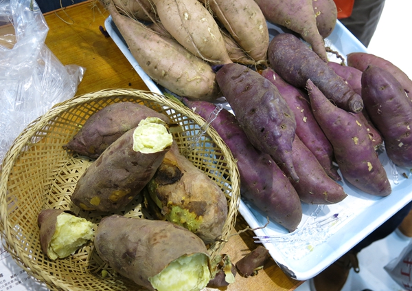 雞糞發(fā)酵為肥料的紫薯 味道果然不一樣