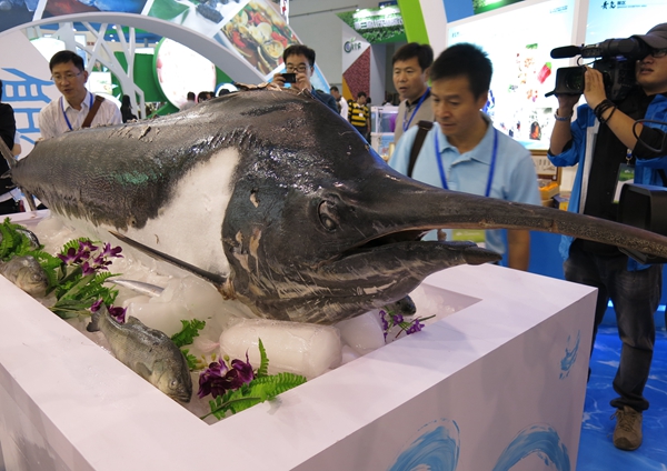 身為一條巨型金槍魚 想來(lái)被圍觀也是有壓力