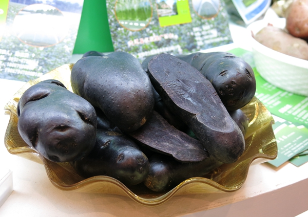 成長(zhǎng)于3000多米海拔的土豆新品種 名字叫“黑金剛”