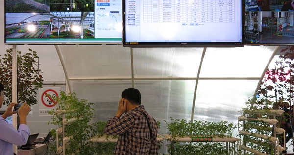 微型大棚展示物聯(lián)網(wǎng)如何遠(yuǎn)程監(jiān)控農(nóng)作物生長(zhǎng) 微型大棚展示物聯(lián)網(wǎng)如何遠(yuǎn)程監(jiān)控農(nóng)作物生長(zhǎng)