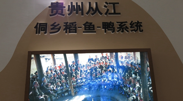 多少年來(lái)的傳承 讓農(nóng)作物生長(zhǎng)置于和諧的生態(tài)系統(tǒng)