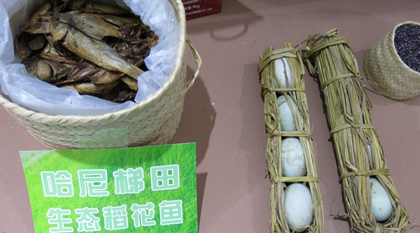 梯田、泥水、鴨子、稻田、魚 組成一幅最美的畫卷