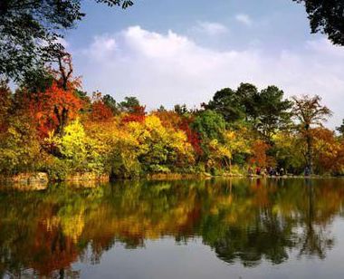 秋日下江南 長(zhǎng)三角那些美到醉的賞秋地