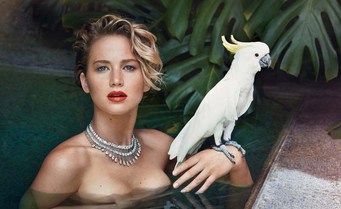 勞倫斯全裸登名利場(chǎng)封面