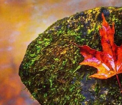 世界最驚艷的6個(gè)好地方 不可錯(cuò)過(guò)的秋日畫(huà)卷