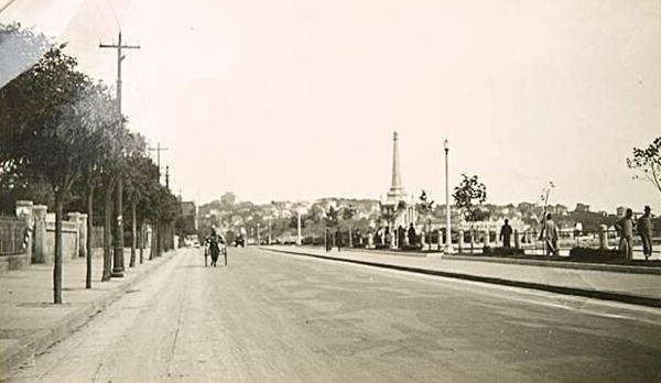 漲姿勢！青島最早的行道樹追溯到百年前