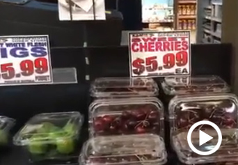 澳洲白菜價(jià)車?yán)遄?  title=