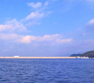 觀迷人江水松花江 賞花非花霧非霧的霧凇誘惑