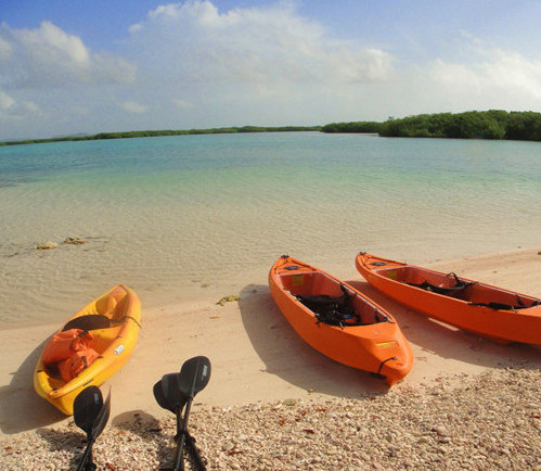 美麗靜謐的天堂 玩轉(zhuǎn)荷蘭博奈爾島