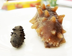 干海鮮：到網(wǎng)上賣口碑