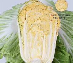 別看不起這白菜價的白菜