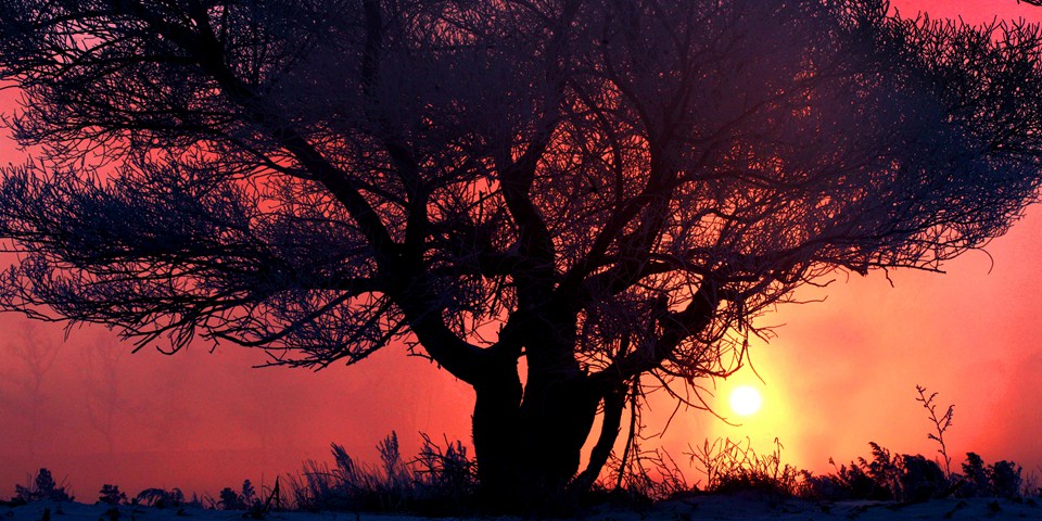 【高清】吉林霧凇如仙境&nbsp; 霧凇島上醉游人