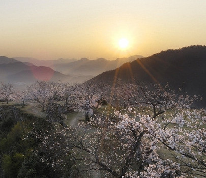 賜我一座桃花源 那些人少景美的踏青地