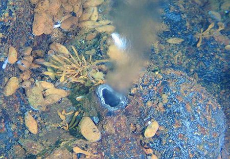 獨(dú)家：蛟龍?zhí)柼矫厣衿婧５谉嵋簠^(qū)