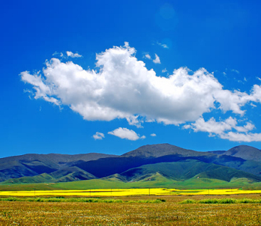 灑在人間的彩虹 初春來(lái)一趟色彩之旅 灑在人間的彩虹 初春來(lái)一趟色彩之旅